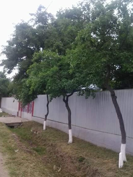 Casá la Tará .La 15 Km. de Panciu Jud. Vrancea. Comuna Clipicesti .