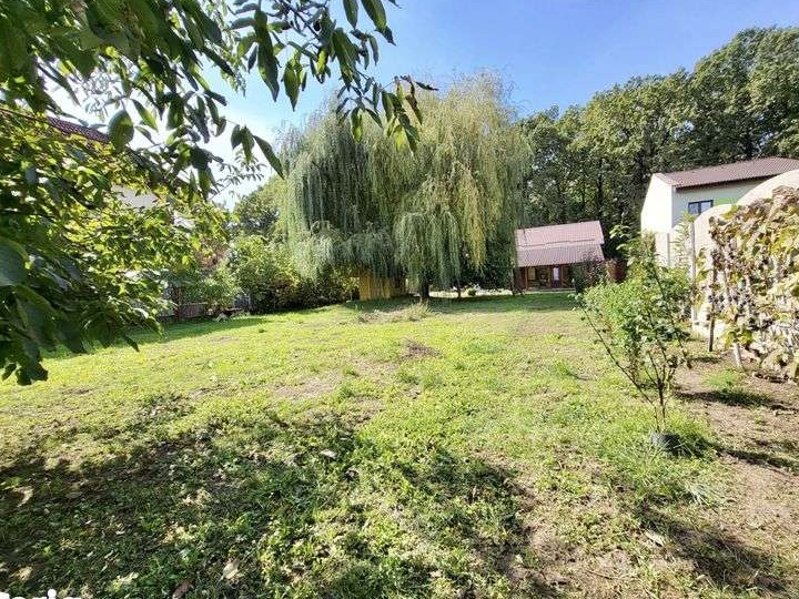 Casa langa padure, cu posibilitati de afacere sau pensiune - Timisoara