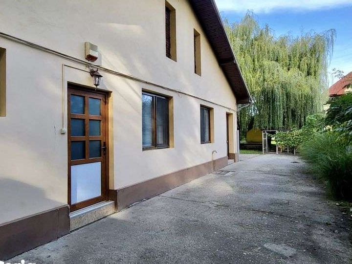Casa langa padure, cu posibilitati de afacere sau pensiune - Timisoara