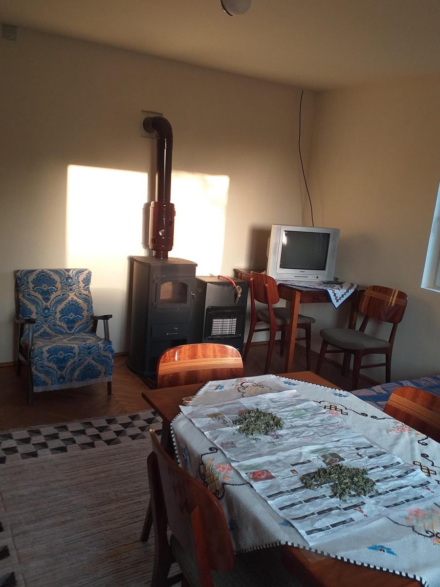 casa mare de vinzare in loc Ghertenis jud Caras severin