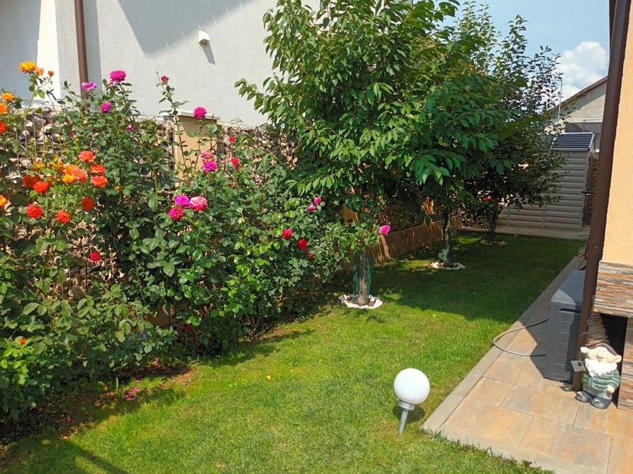 Casa particular