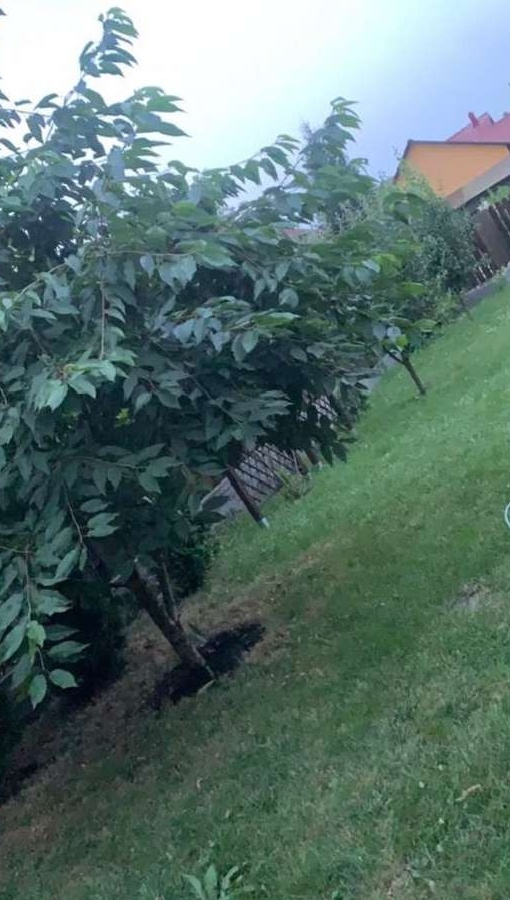 Casa pe un singur nivel,cu garaj dublu,310 mp,teren 700 mp,Sancrai