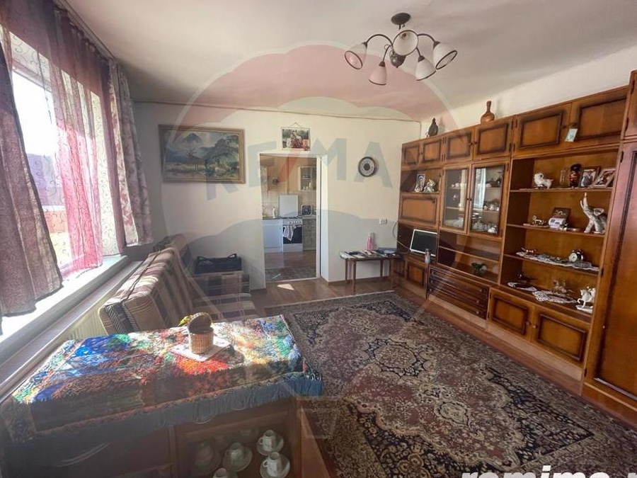 Casa Sanpetru curte si gradina