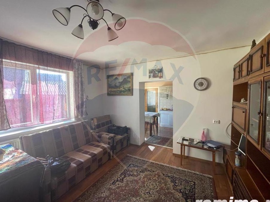 Casa Sanpetru curte si gradina