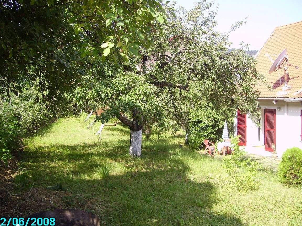 Casa, Schei- Constantin Lacea
