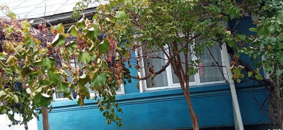 Casa se vanzare Pielesti, Dolj