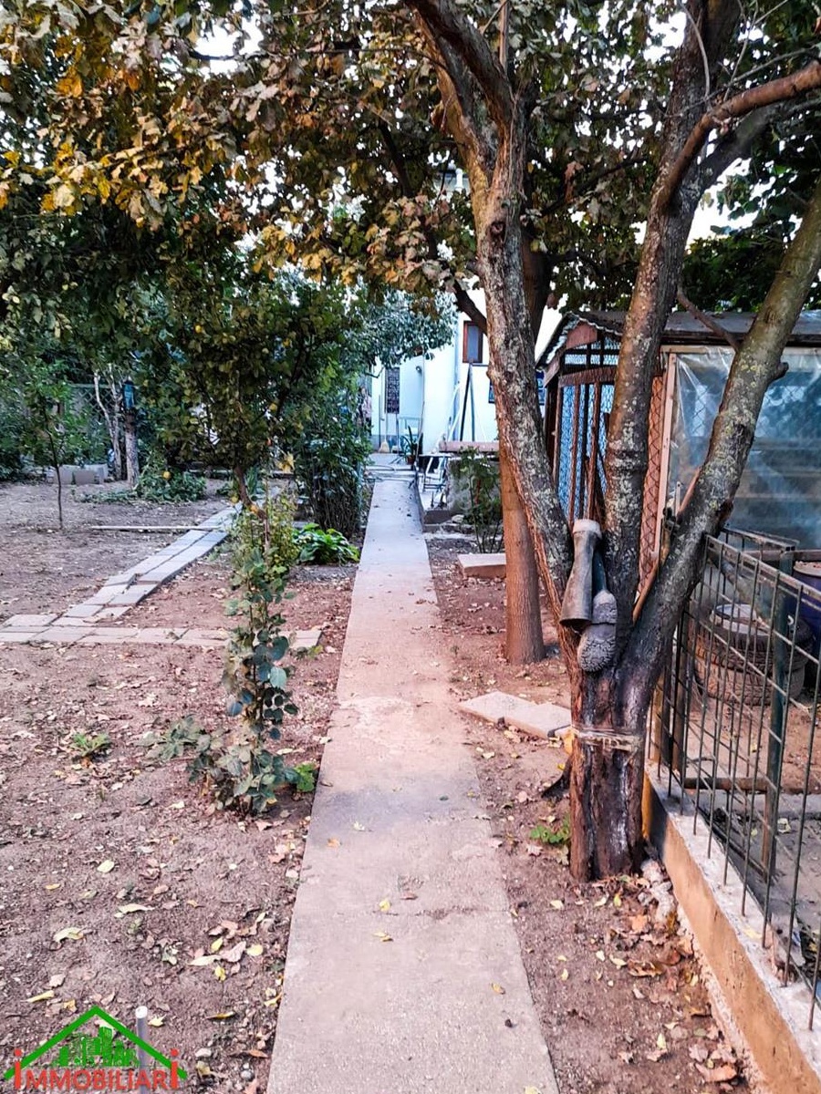 Casa si Spatiu Comercial 588mp Teren Chiajna Militari