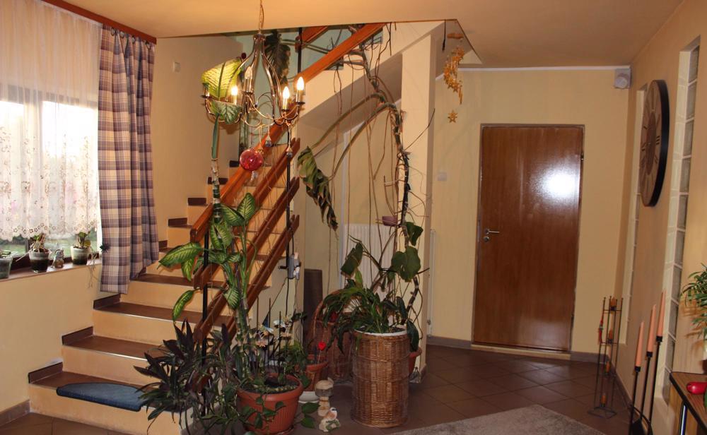 Casa si teren Ghidfalau