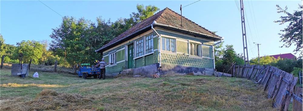 Casa si teren intravilan 3175mp Chesau-Mociu