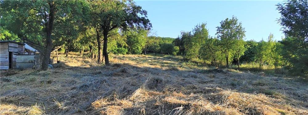 Casa si teren intravilan 3175mp Chesau-Mociu