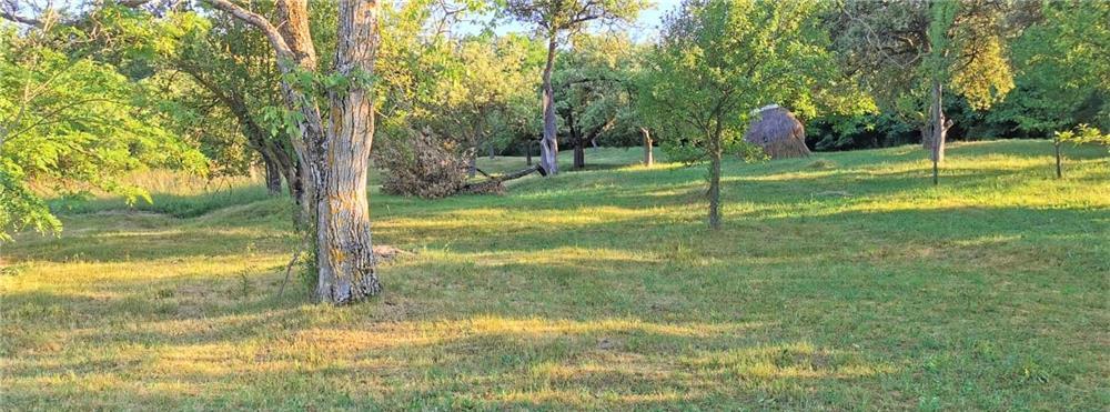 Casa si teren intravilan 3175mp Chesau-Mociu