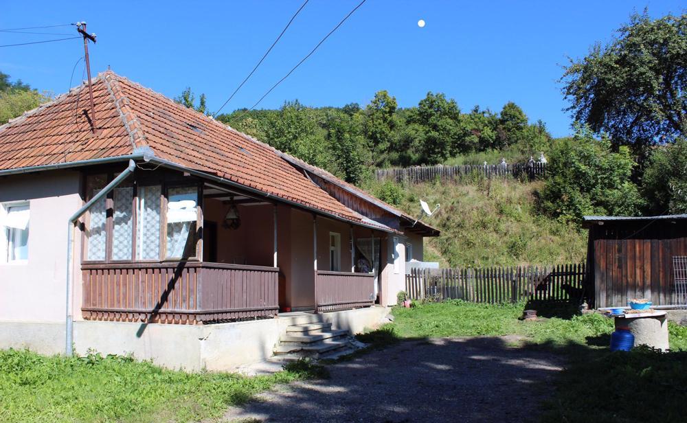 Casă și teren Vâlcele