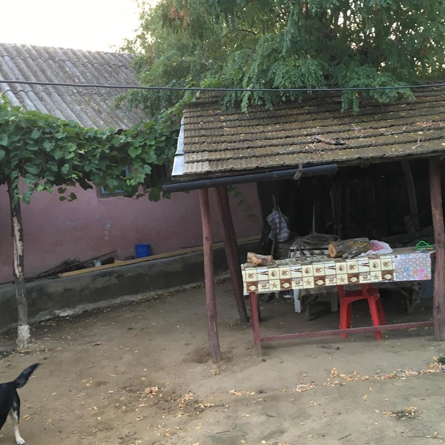 Casa taraneasca-linister,aer curat si belsug !