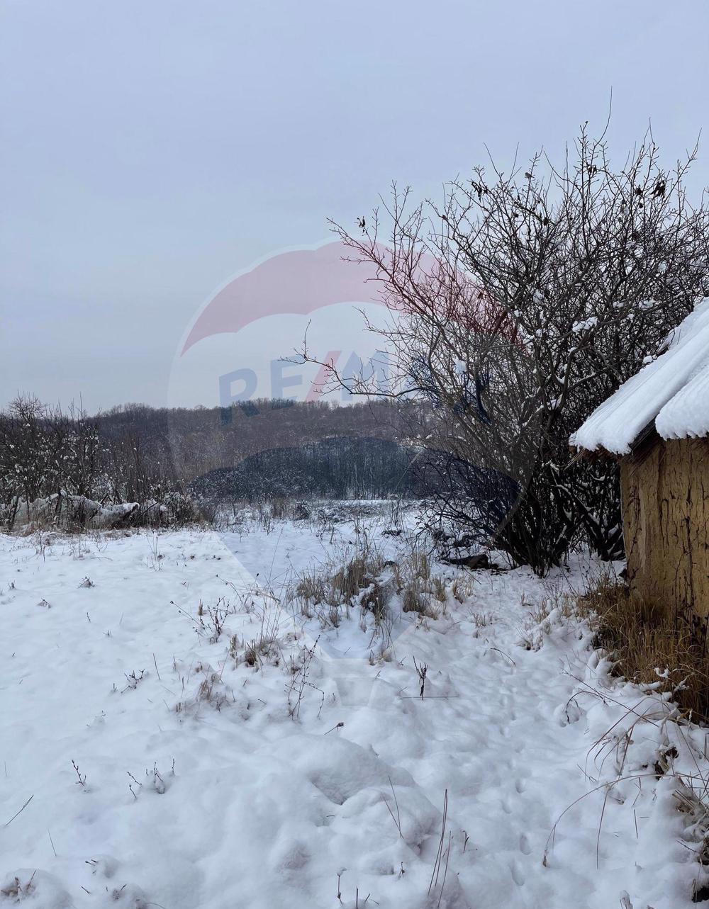 Casă + teren (2943 mp) de vânzare in Sat Medișa (com.Viile Satu Mare)