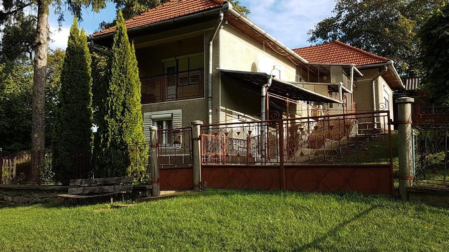 Casă + teren intravilan de vânzare în com. Ibănești