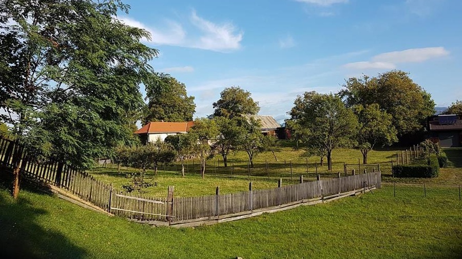 Casă + teren intravilan de vânzare în com. Ibănești