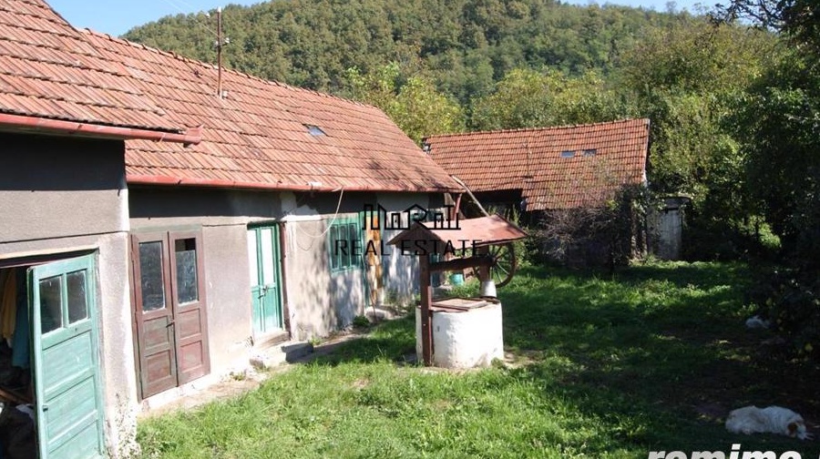 Casa traditionala 4 camere plus anexe in Brad EXCLUSIV - comision 0
