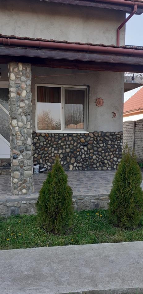 Casa Vanzare Jebel Jud. Timis