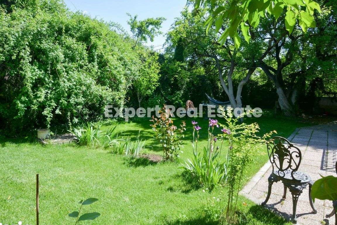 Casa, Vila, Birou, Cabinet -  P+M cu gradina 300mp - OTOPENI