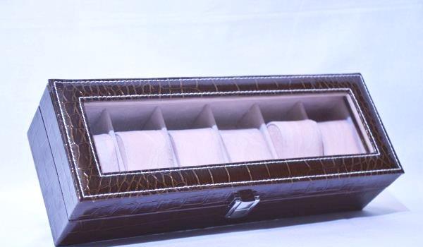 Caseta pastrare 6 ceasuri