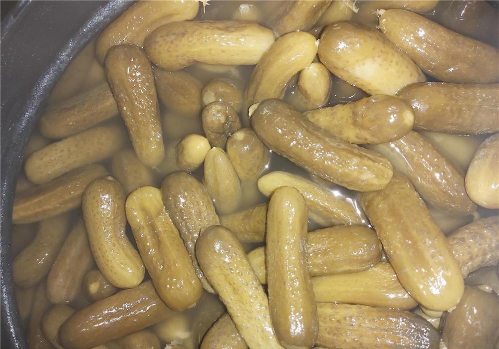 Castraveți murati (cornison) - Butoaie de 220 litri