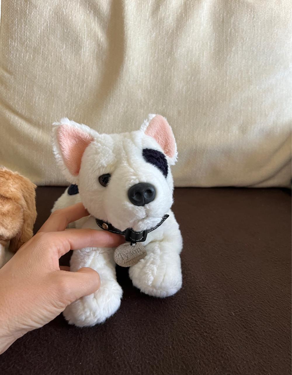 Catelusi de plus Keel Toys