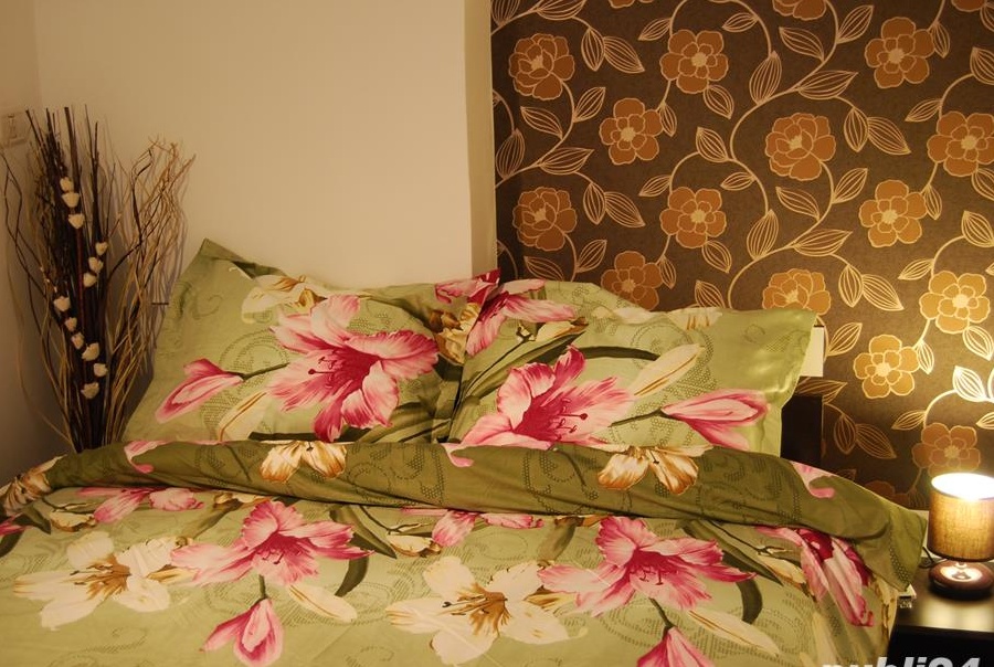 Cazare apartamente in regime hotelier - appartamenti per brevi/lunghi periodi
