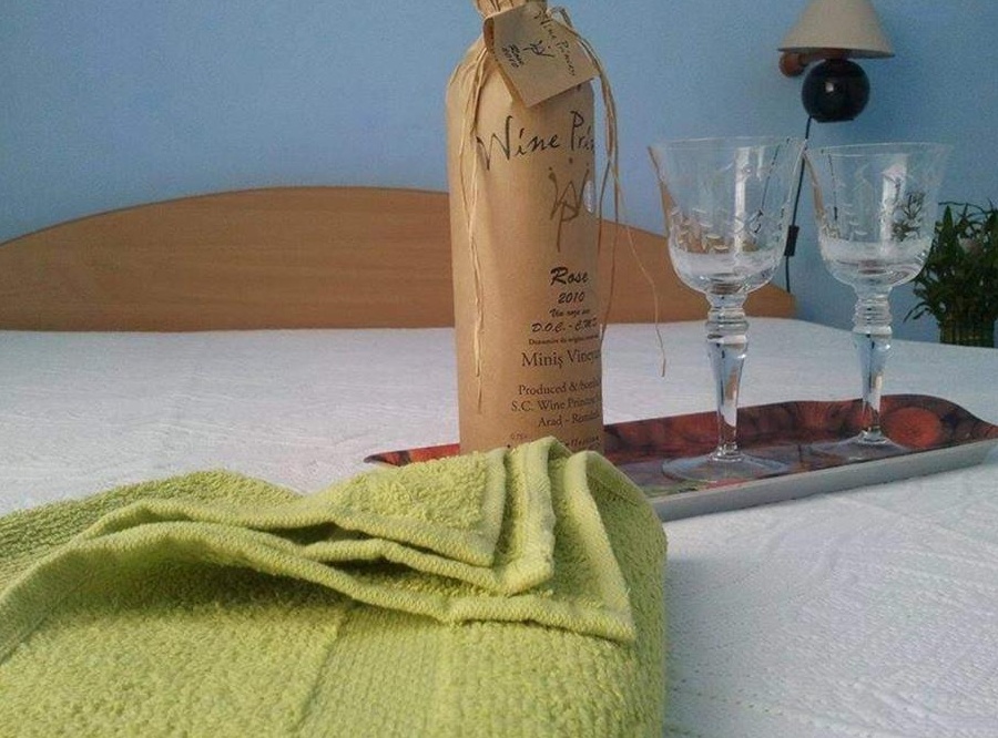 Cazare la Pensiunea Coca Baile Felix