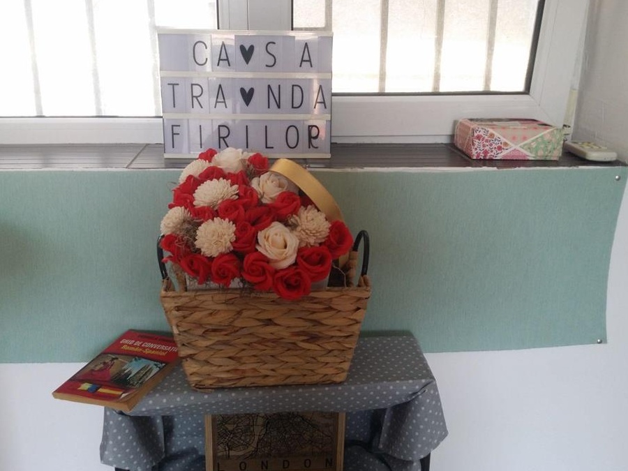 Cazare  Tulcea  Casa Trandafirilor