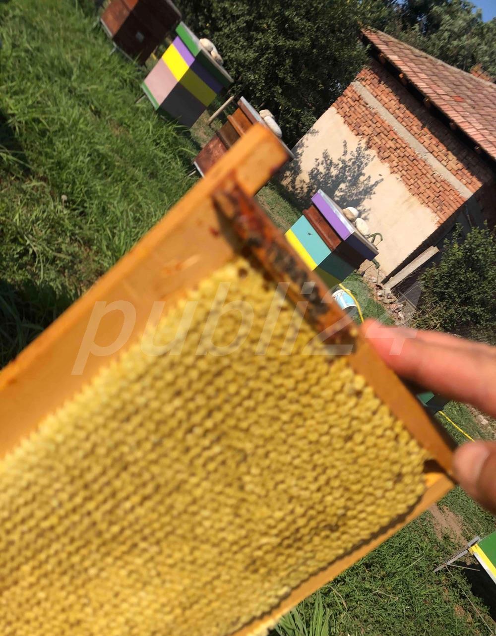 Ceara de albine 100% naturala