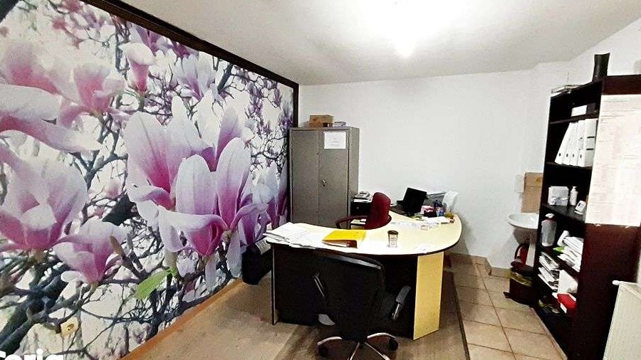 Central, spatiu birouri 30mp, 350 euro