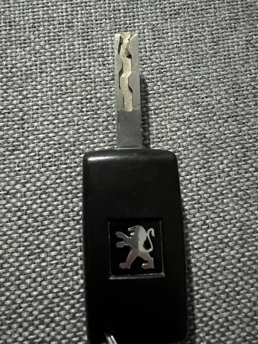 cheie peugeot cu chip