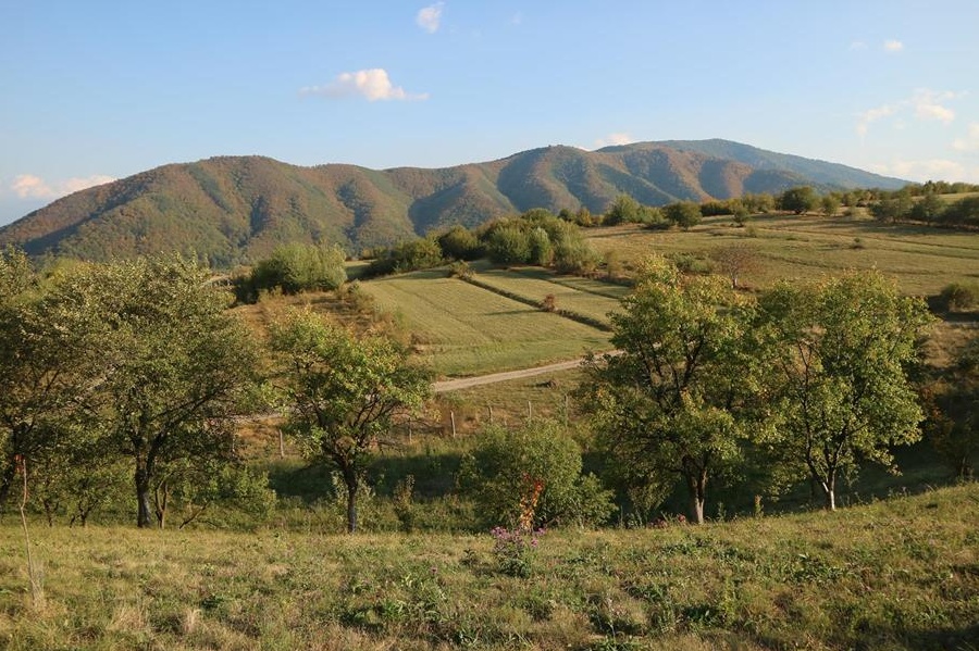 Cisnadioara - teren intravilan cu priveliste superba spre M-tii Fagaras/Cindrel/ Cetatea Michelsberg
