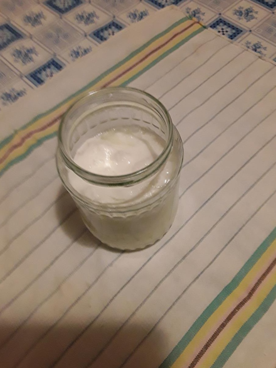 ciuperca tibetana Kefir