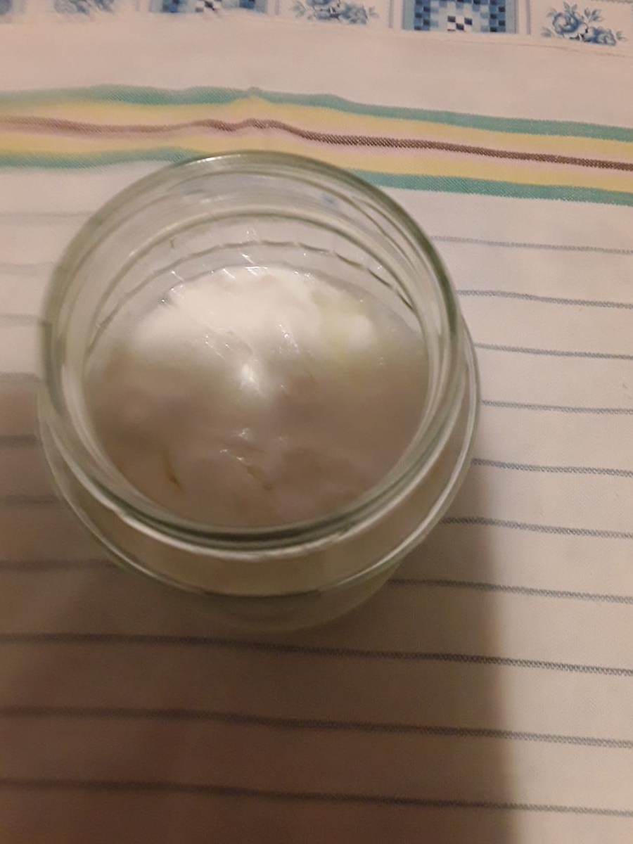 ciuperca tibetana Kefir