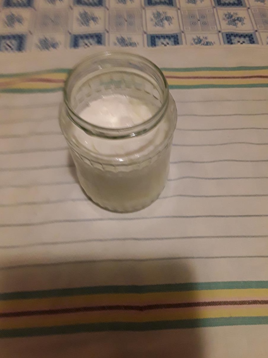 ciuperca tibetana Kefir