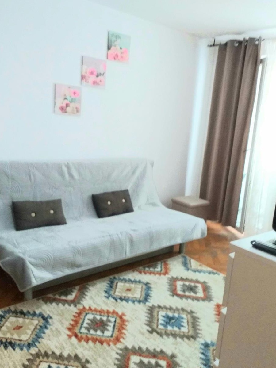 Colentina colt cu D-na Ghica, decomandat