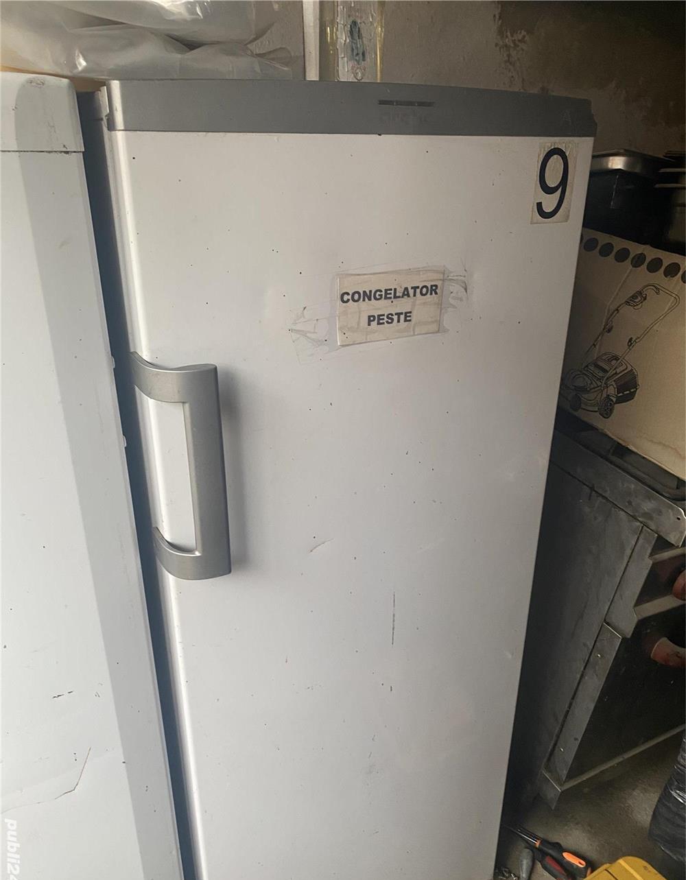 Congelator vertical functional