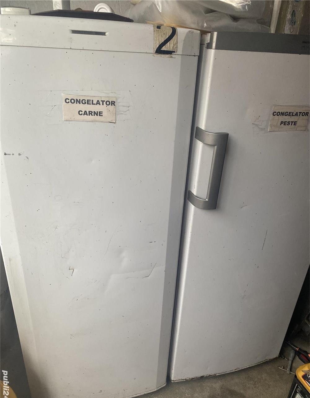Congelator vertical functional