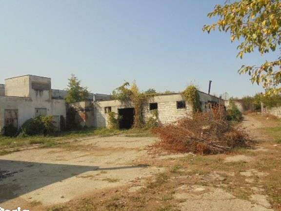 Construcții și teren în Sebis - licitatie