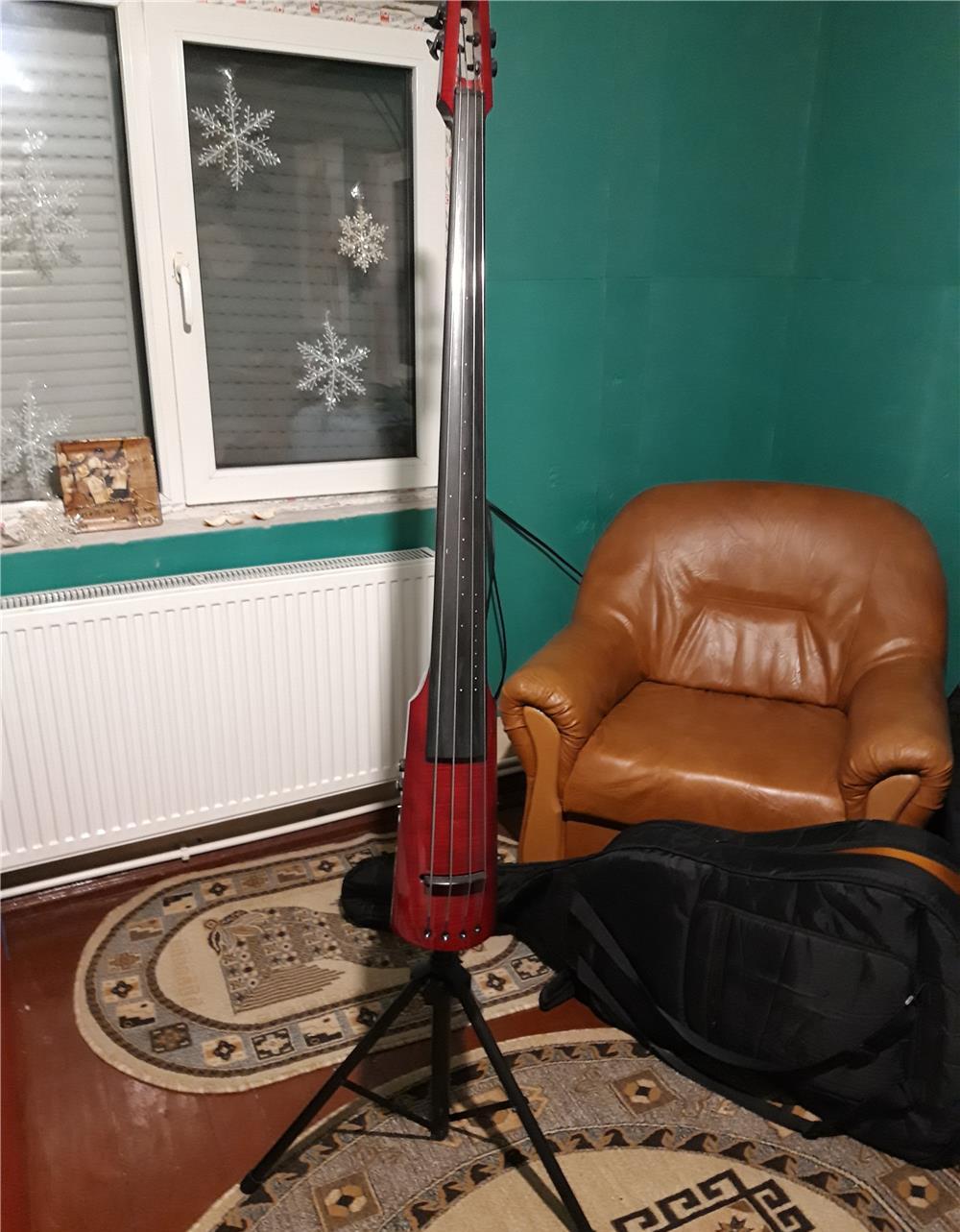 Contrabas electric