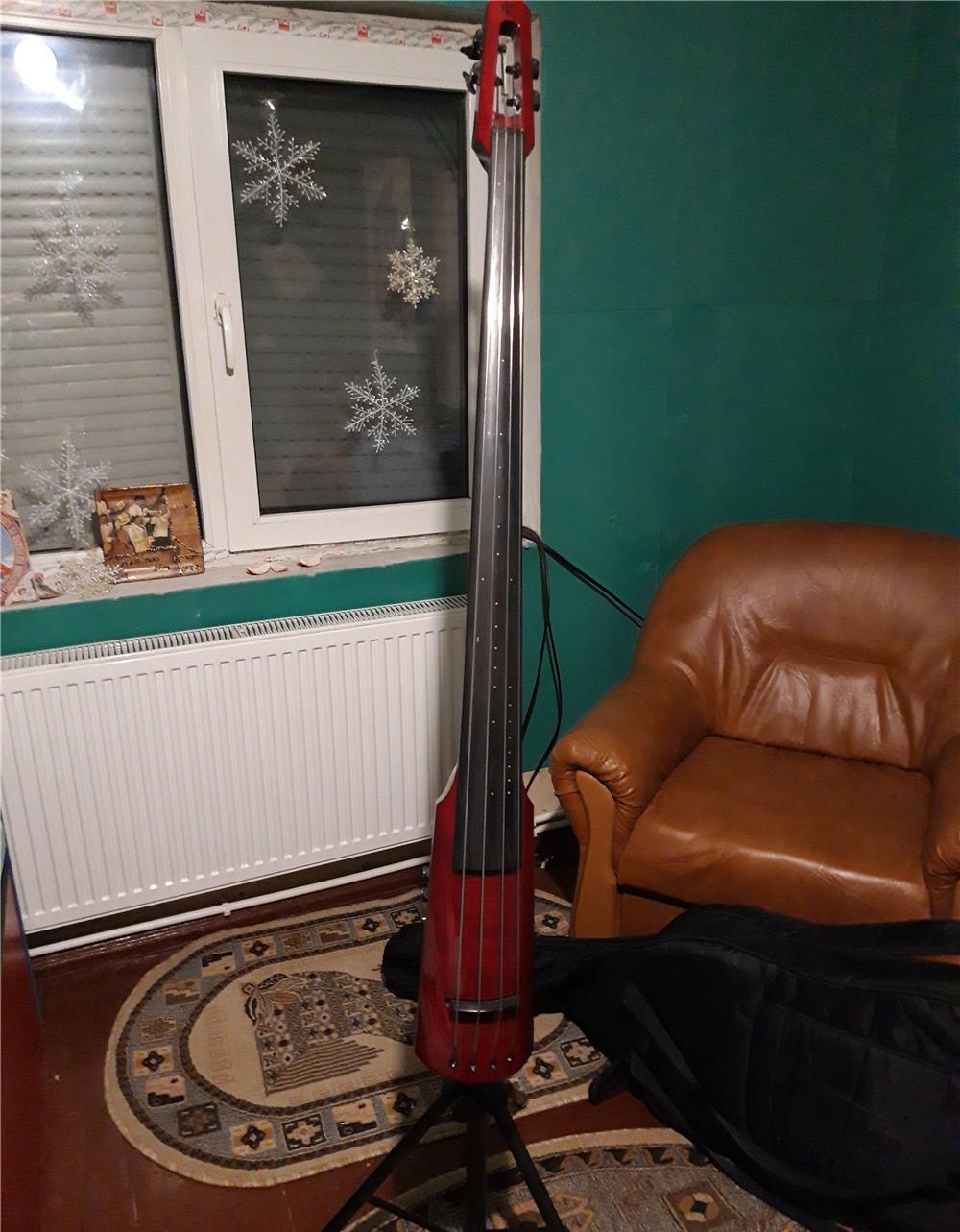 Contrabas electric
