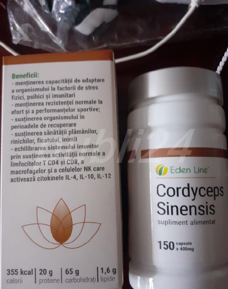 Cordyceps Sinens