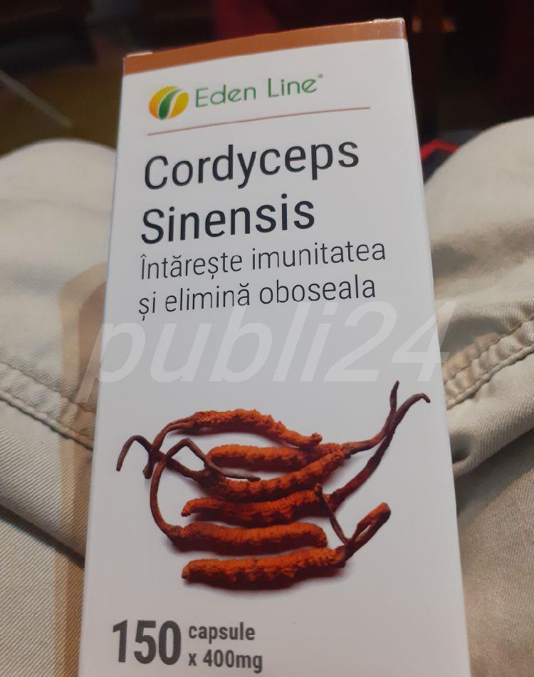 Cordyceps Sinens