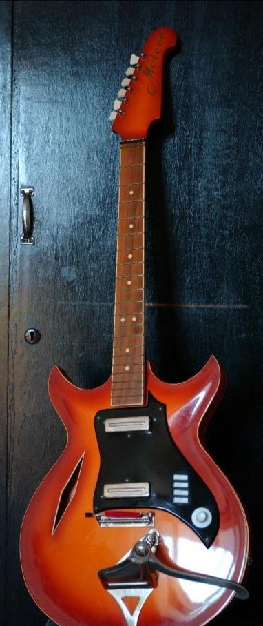 Cumpar chitara electrica meteor , serenada ,modern et.c