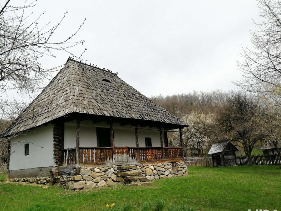 Cumpar gospodarie in zona frumoasa de deal sau munte jud Alba sau Hunedoara
