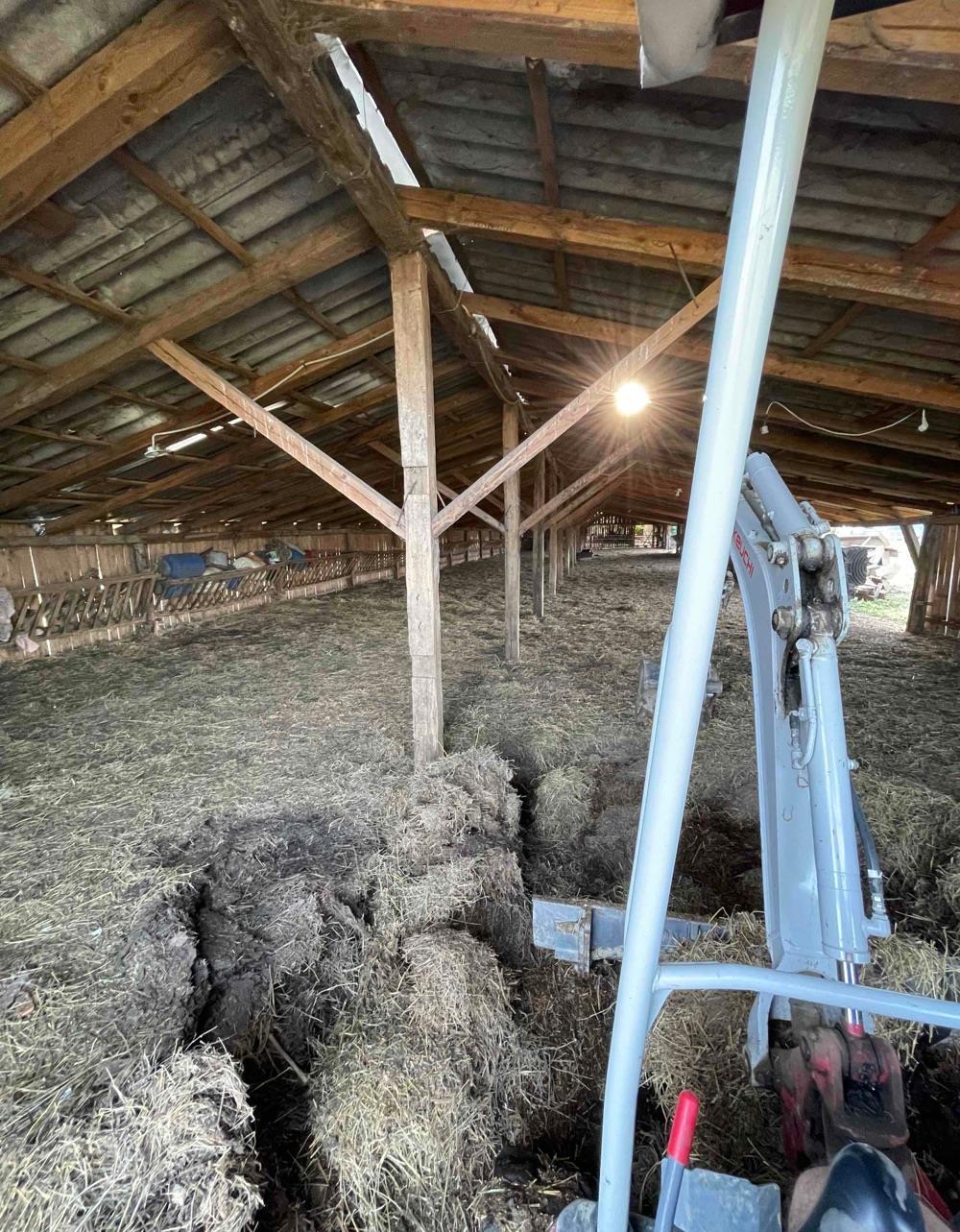 Curatam grajduri si saivane mecanizat