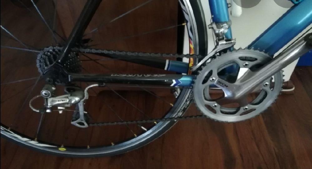 Cursiera Kona Zing