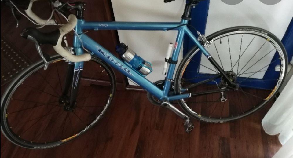 Cursiera Kona Zing