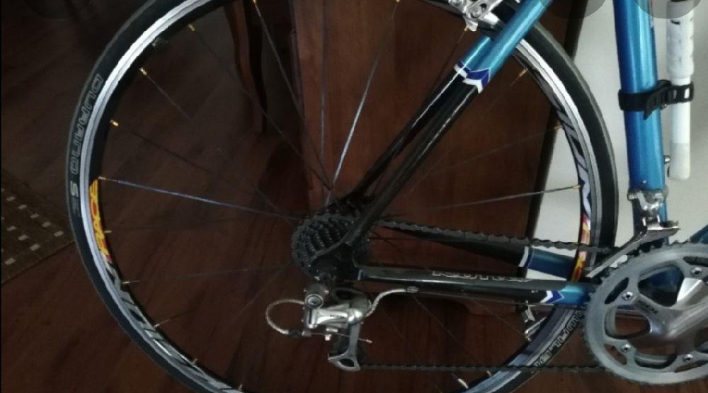 Cursiera Kona Zing